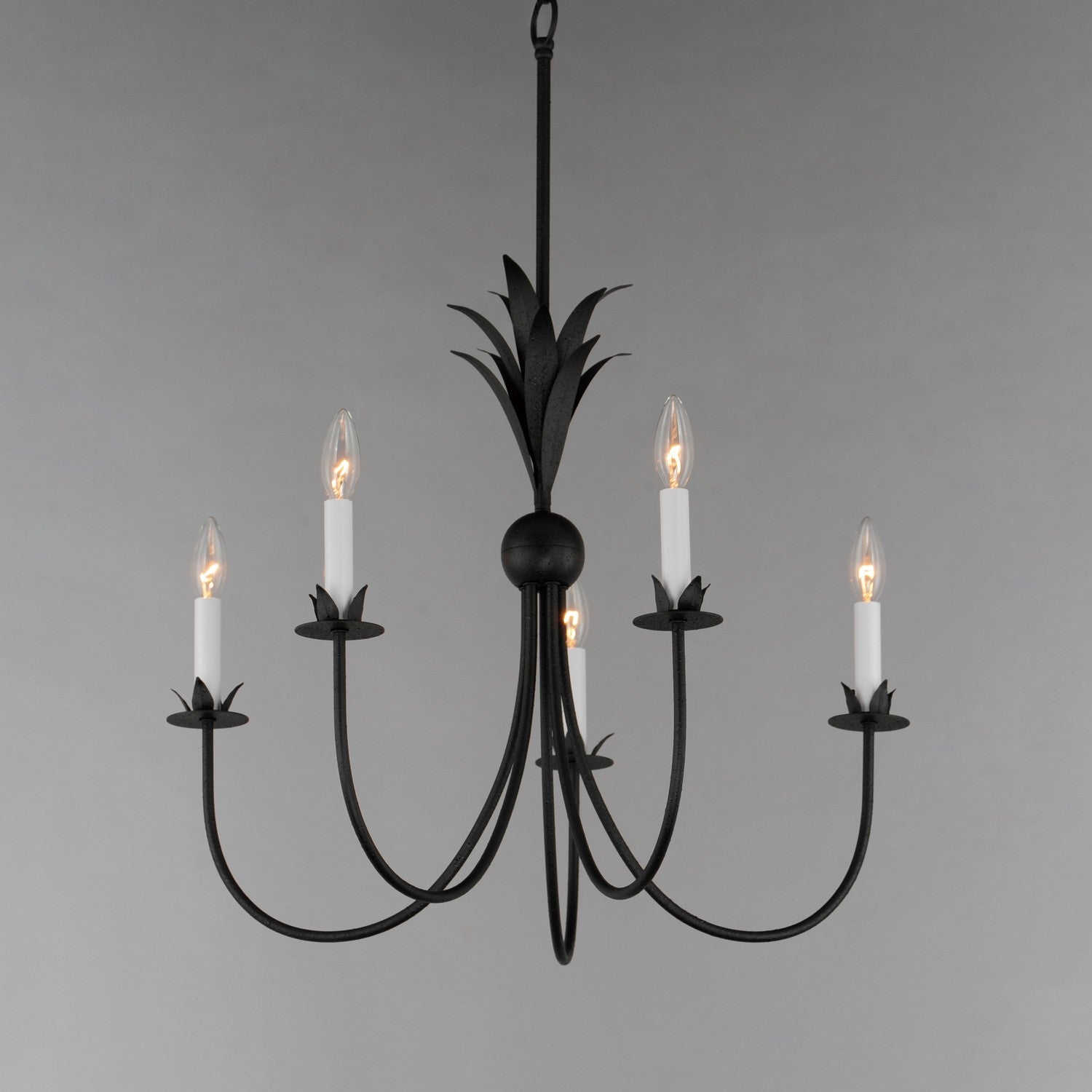 Maxim - 2885AR - Five Light Chandelier - Paloma - Anthracite