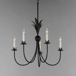 Maxim - 2885AR - Five Light Chandelier - Paloma - Anthracite