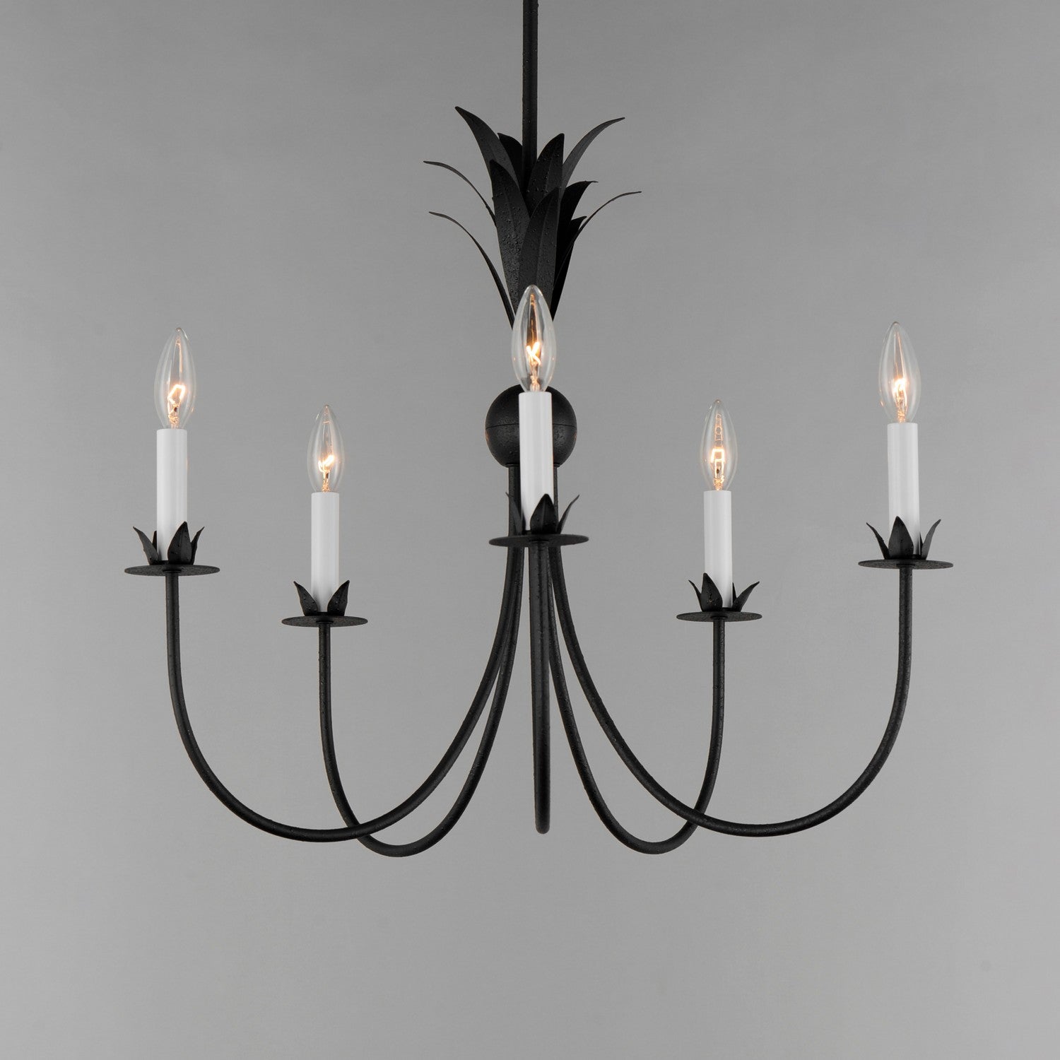 Maxim - 2885AR - Five Light Chandelier - Paloma - Anthracite