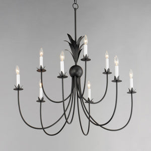 Maxim - 2889AR - Nine Light Chandelier - Paloma - Anthracite