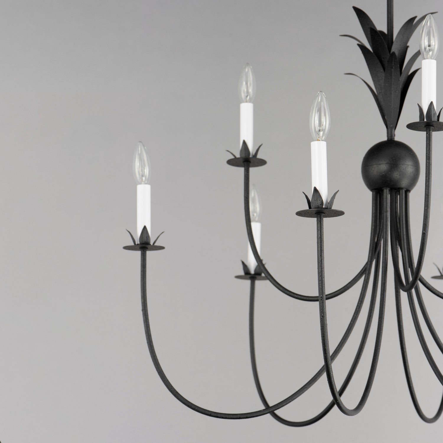 Maxim - 2889AR - Nine Light Chandelier - Paloma - Anthracite