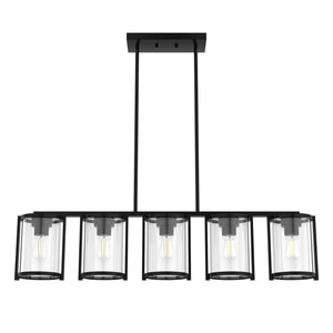 Hunter - 48013 - Five Light Chandelier - Astwood - Matte Black