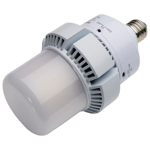 Satco - S13164 - Light Bulb - White