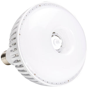 Satco - S23112 - Light Bulb - Translucent White