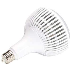 Satco - S23112 - Light Bulb - Translucent White