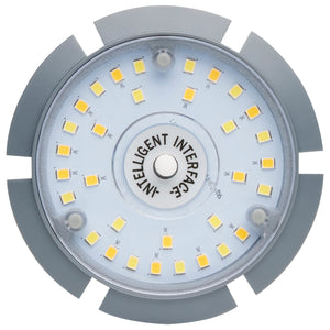 Satco - S23164 - Light Bulb - White