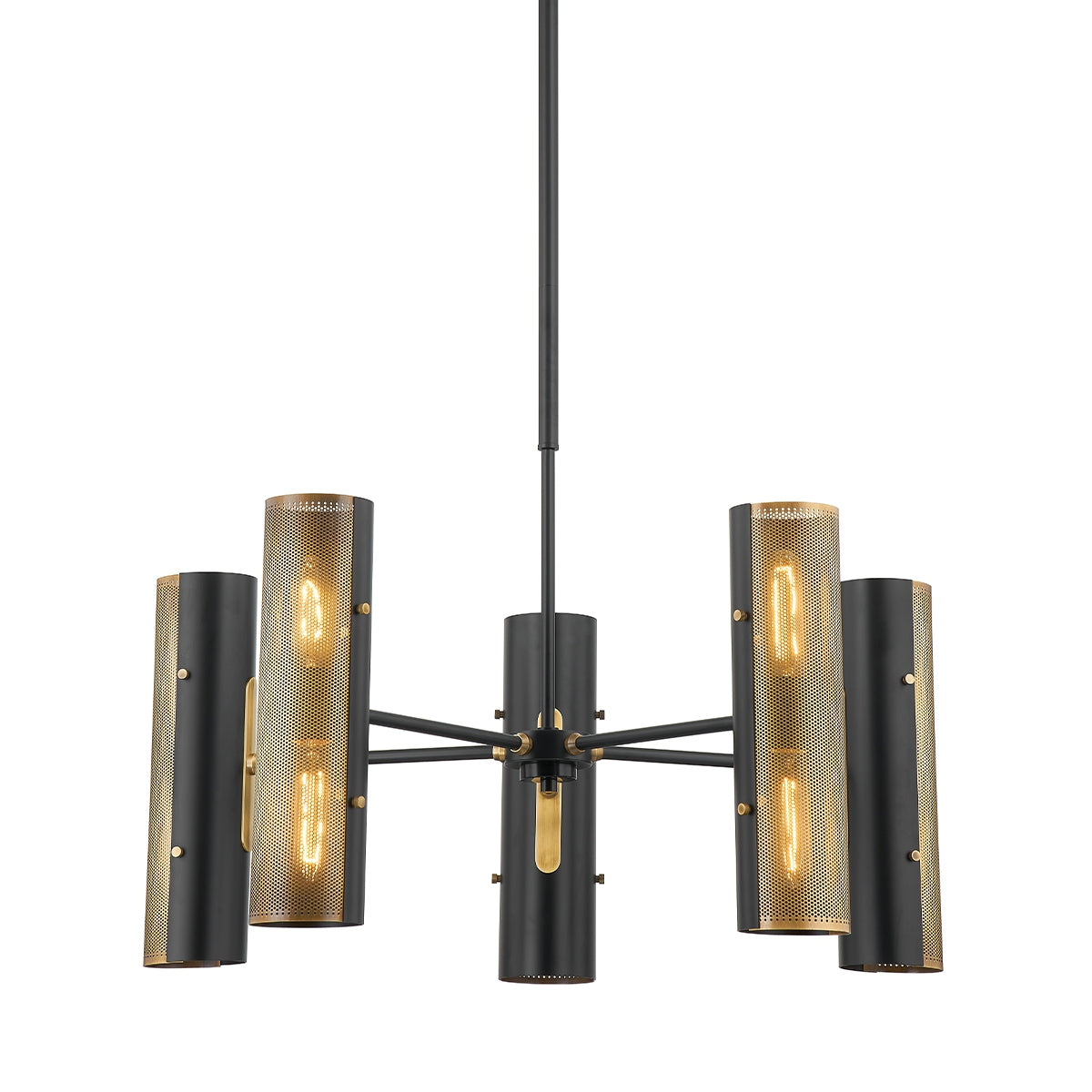 Troy Lighting - F5630-PBR/SBK - Ten Light Chandelier - Mikka - Patina Brass