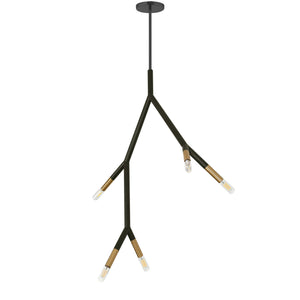 Dainolite Ltd - MOR-125P-MB-AGB - Five Light Pendant - Morgan - Matte Black