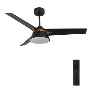 Carro - DC483A-L12-B2-1G - 48'' Ceiling Fan - Kenora - Black