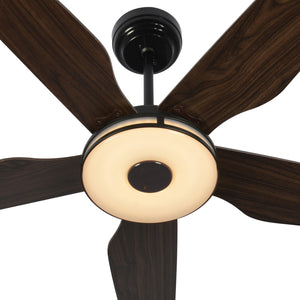 Carro - VS525S-L13-B5-1 - 52"Smart Ceiling Fan - Elira - Black