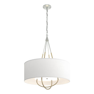 Hubbardton Forge - 104230-SKT-82-86-SF2811 - Four Light Pendant - Loop - Vintage Platinum