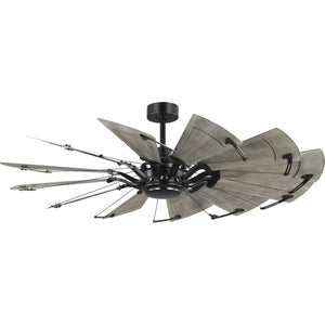 Progress Lighting - P250098-31M - 60"Ceiling Fan - Springer Ii - Matte Black