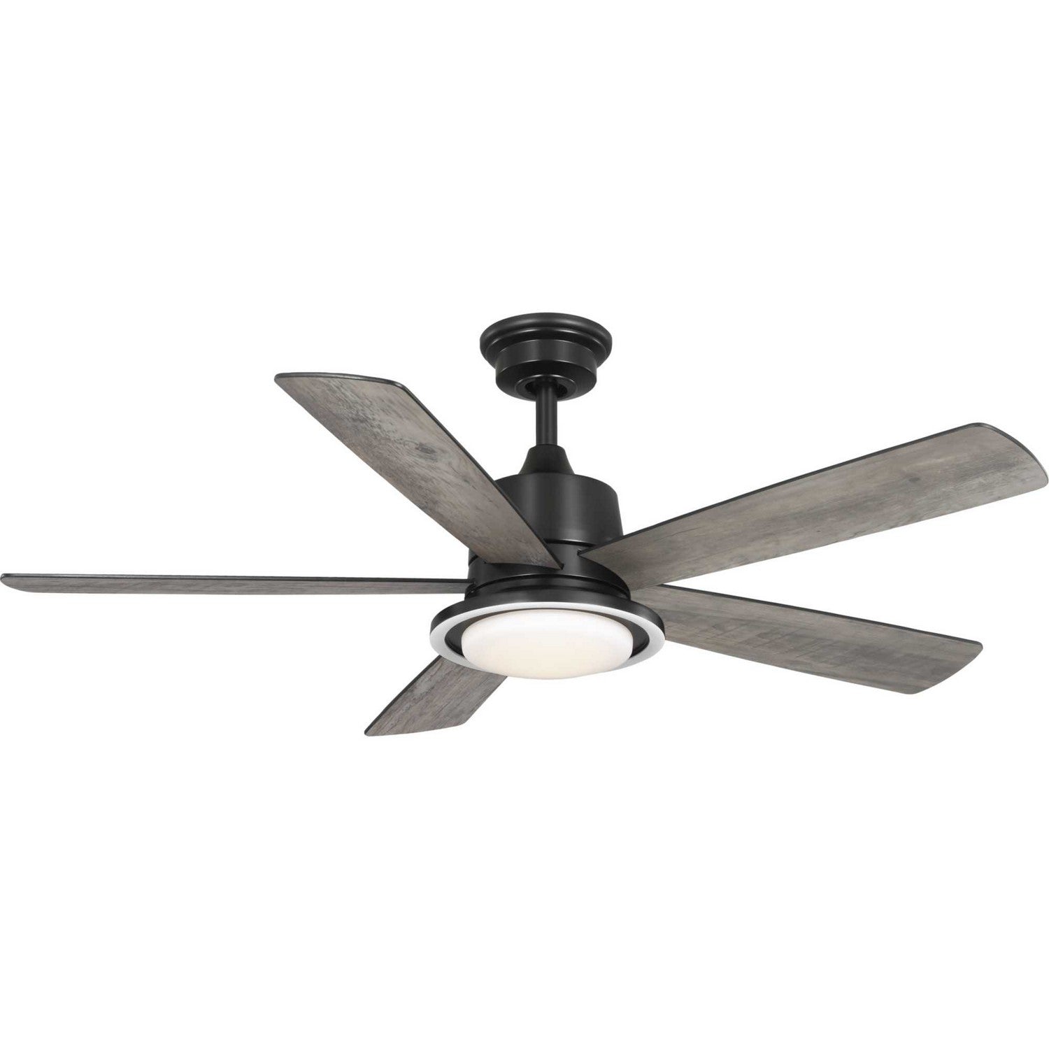 Progress Lighting - P250102-31M-CS - 52"Ceiling Fan - Tarsus - Matte Black