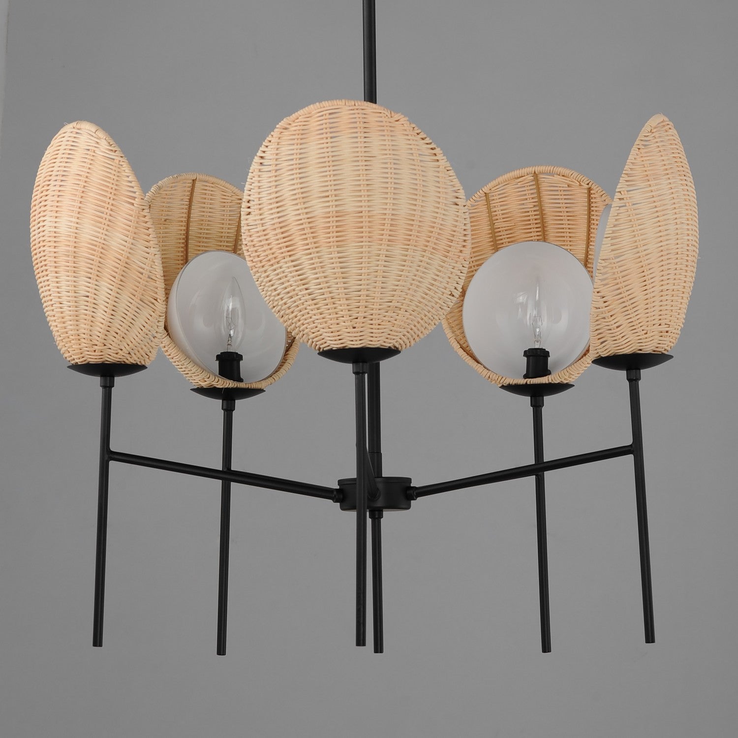 Maxim - 12605NABK - Five Light Chandelier - Maldives - Black