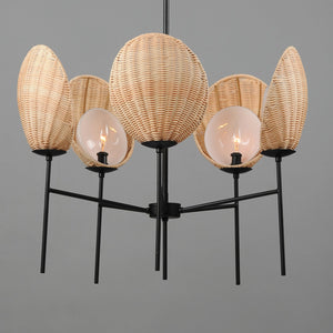 Maxim - 12605NABK - Five Light Chandelier - Maldives - Black