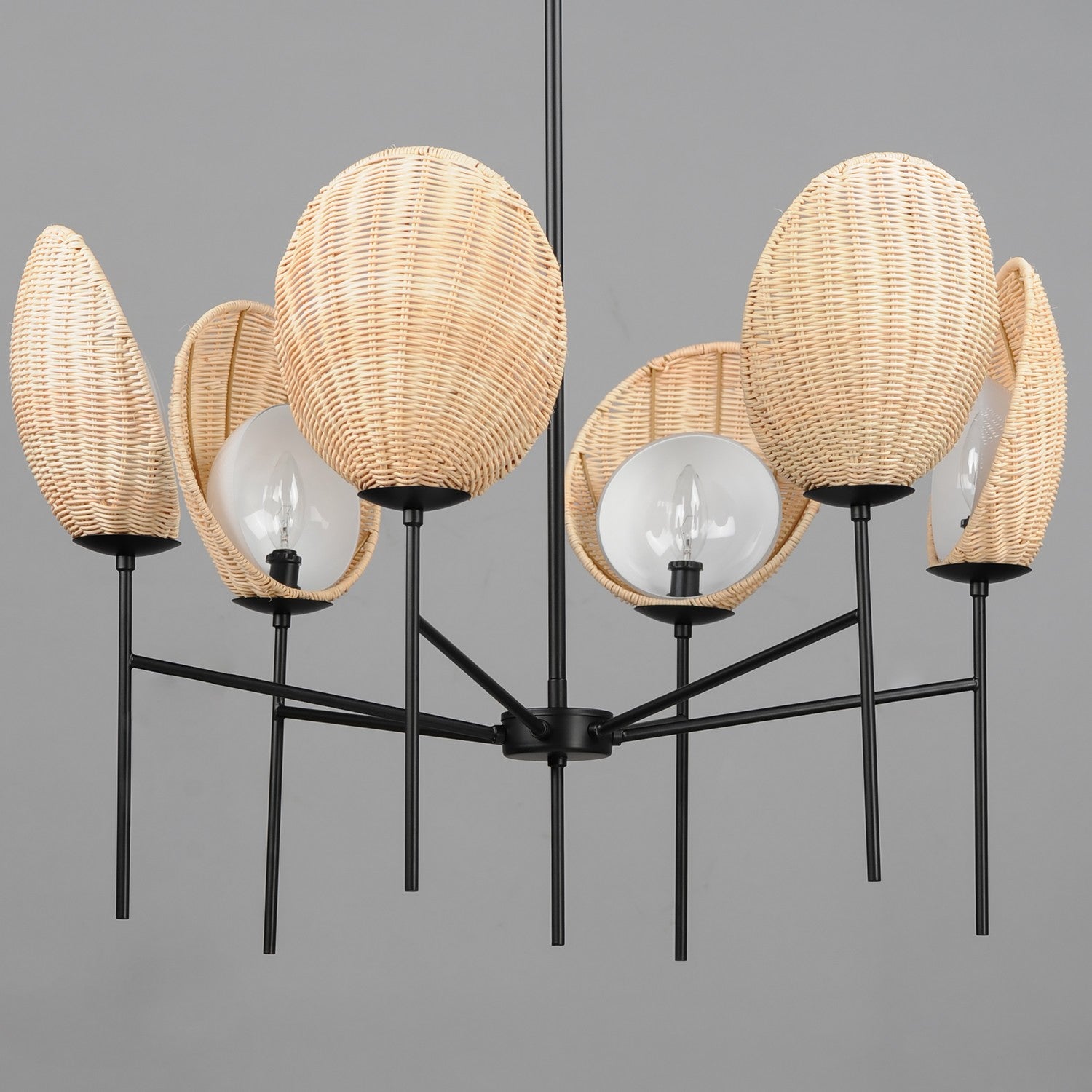 Maxim - 12606NABK - Six Light Chandelier - Maldives - Black