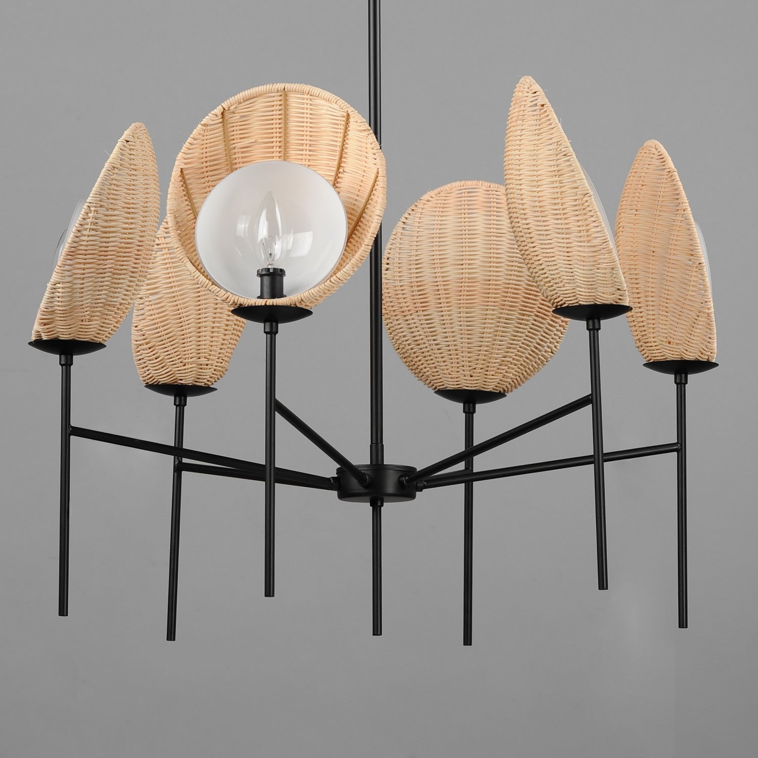 Maxim - 12606NABK - Six Light Chandelier - Maldives - Black