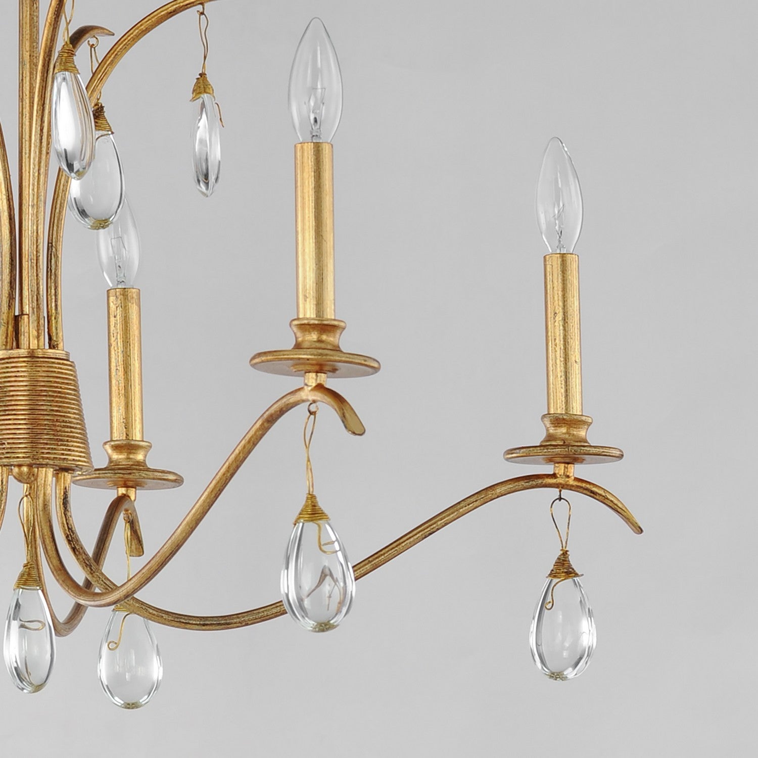 Maxim - 12745CHGL - Five Light Chandelier - Eden - Charcoal Gold Leaf