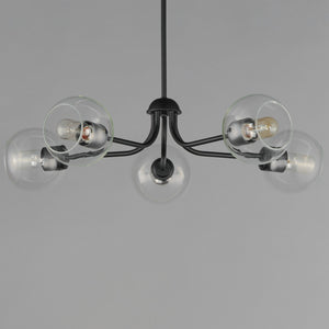 Maxim - 21635CLBK - Five Light Chandelier - Knox - Black