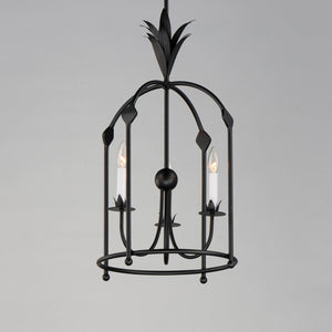 Maxim - 2884AR - Three Light Foyer Pendant - Paloma - Anthracite