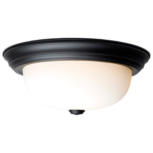 Nuvo Lighting - 60-128 - Two Light Flush Mount - Matte Black