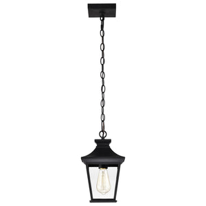 Nuvo Lighting - 60-5746 - One Light Outdoor Hanging Lantern - Jasper - Matte Black