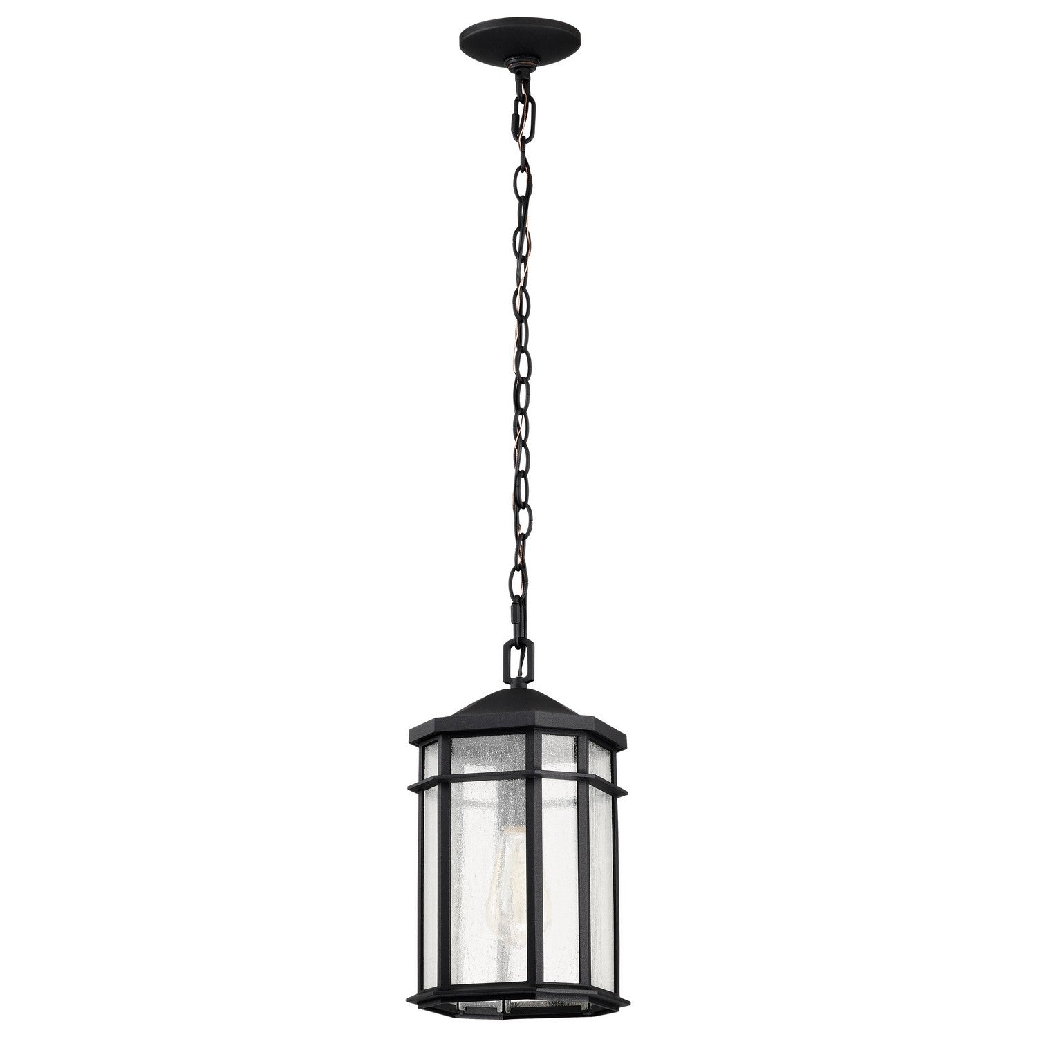 Nuvo Lighting - 60-5759 - One Light Outdoor Hanging Lantern - Raiden - Matte Black