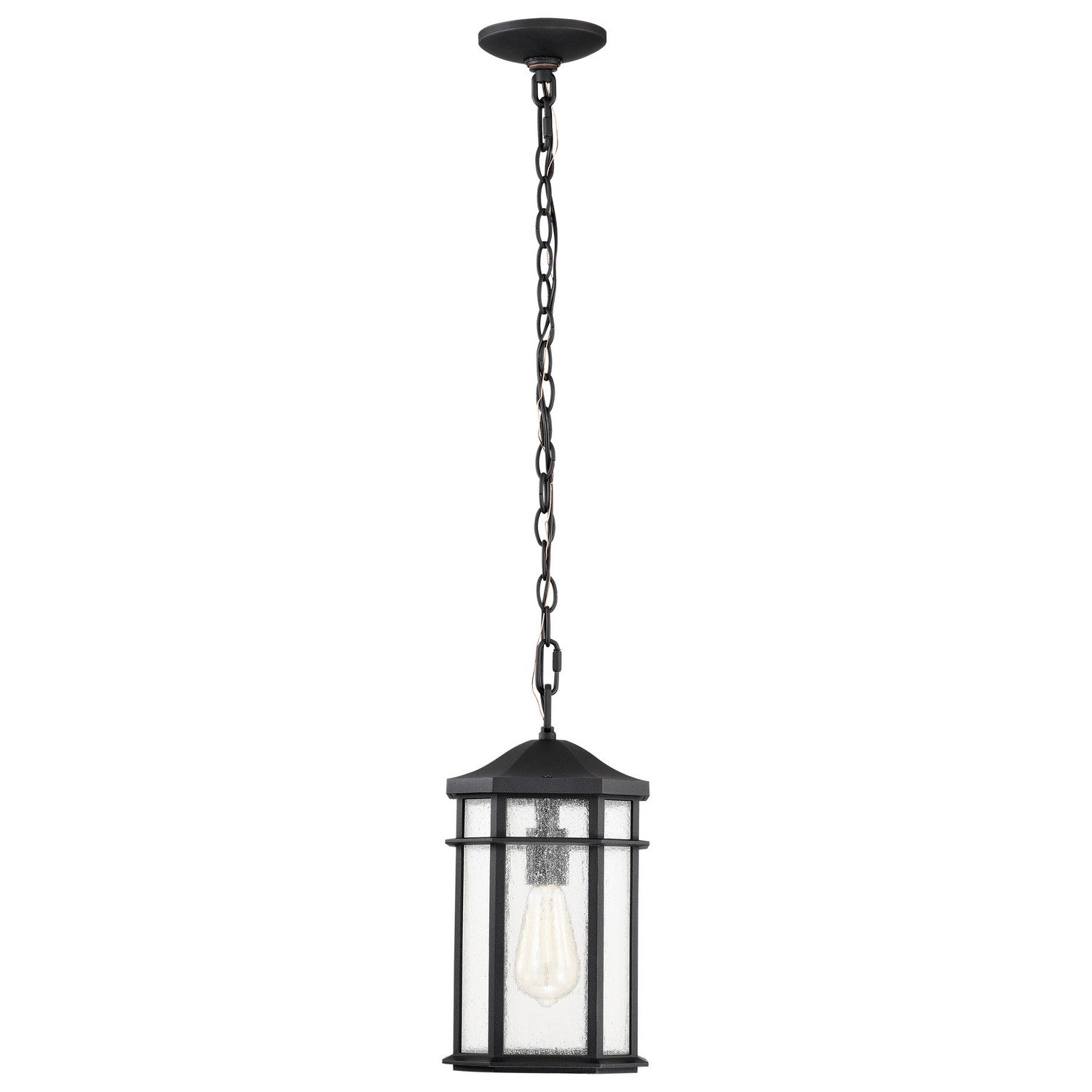 Nuvo Lighting - 60-5759 - One Light Outdoor Hanging Lantern - Raiden - Matte Black