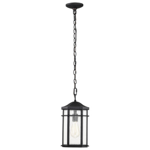 Nuvo Lighting - 60-5759 - One Light Outdoor Hanging Lantern - Raiden - Matte Black