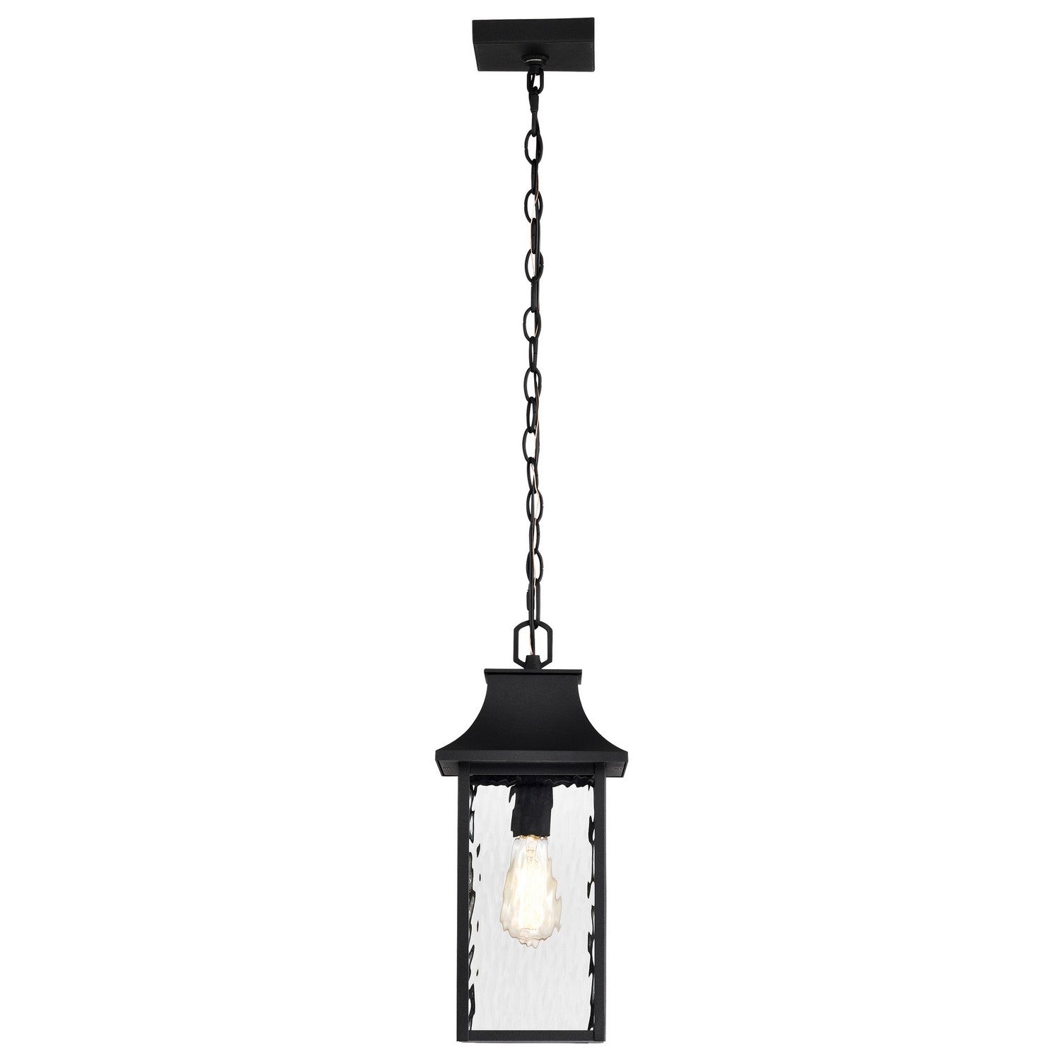 Nuvo Lighting - 60-5996 - One Light Outdoor Hanging Lantern - Austen - Matte Black