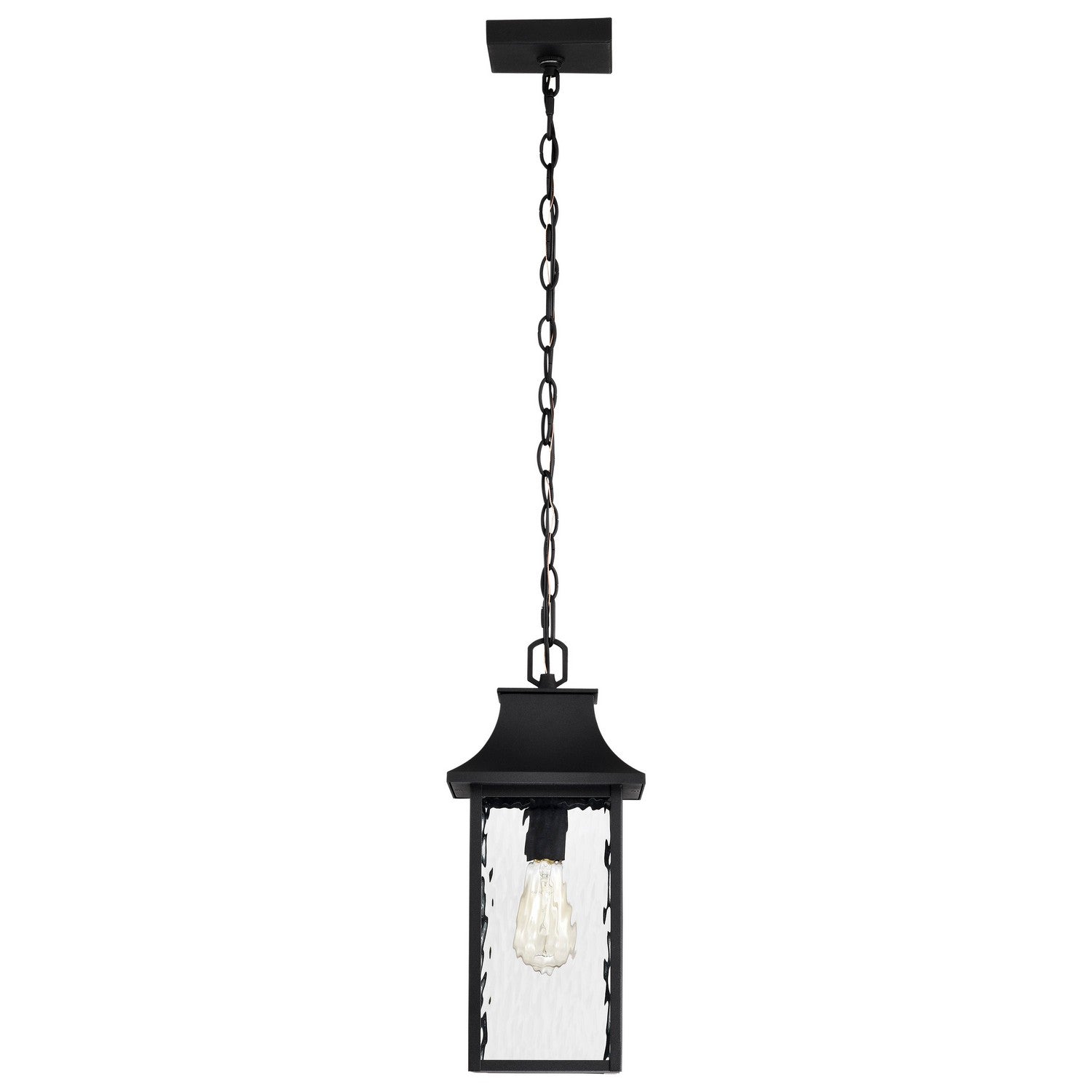 Nuvo Lighting - 60-5996 - One Light Outdoor Hanging Lantern - Austen - Matte Black