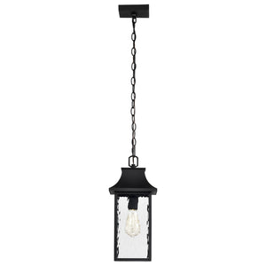 Nuvo Lighting - 60-5996 - One Light Outdoor Hanging Lantern - Austen - Matte Black