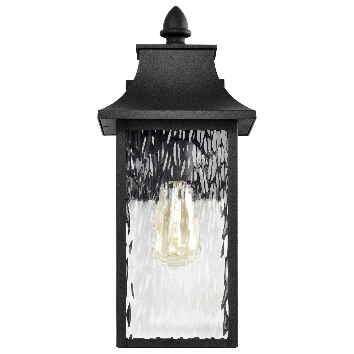 Nuvo Lighting - 60-5998 - One Light Outdoor Wall Lantern - Austen - Matte Black