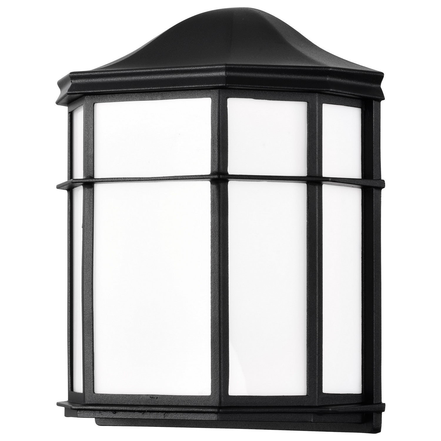 Nuvo Lighting - 62-1397 - LED Cage Lantern Fixture - Black