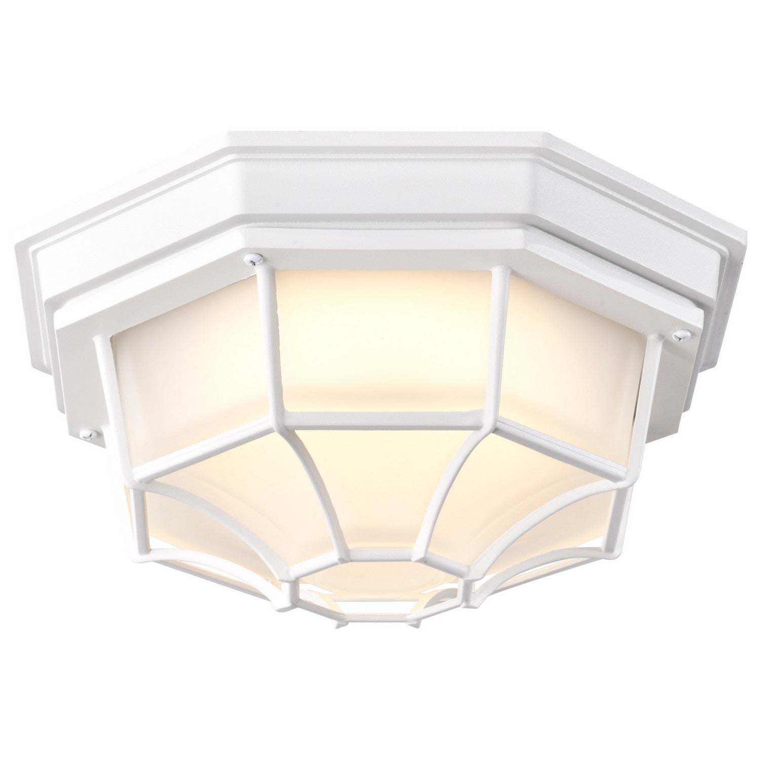 Nuvo Lighting - 62-1399 - LED Spider Cage Fixture - White