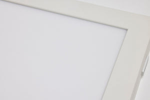 Nuvo Lighting - 62-1774 - LED Surface Mount - White