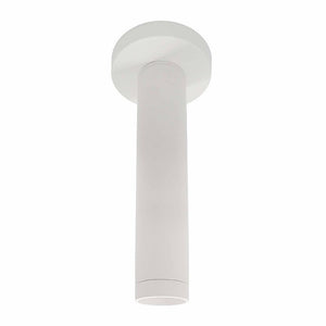 Westgate - CMC2L-MCT-DT-WH - Ceiling Mount - White