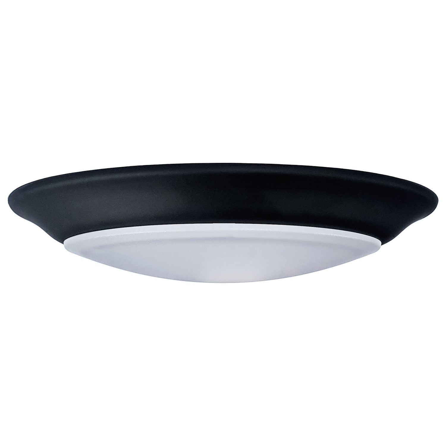 Nuvo Lighting - 62-1804 - LED Disk Light - Black