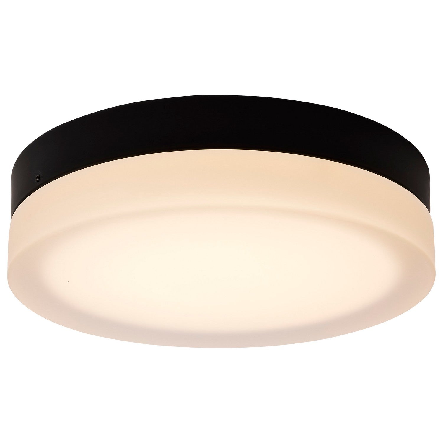 Nuvo Lighting - 62-569 - LED Flush Mount - Pi - Black