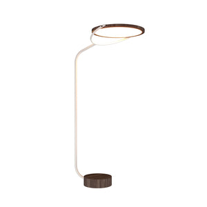 Accord Lighting - 3039LED.18 - LED Floor Lamp - Naia - American Walnut