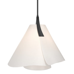 Hubbardton Forge - 134501-SKT-MULT-10-SH1992 - One Light Pendant - Mobius - Black