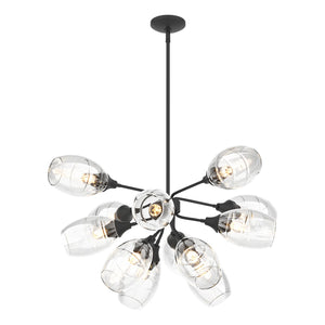 Hubbardton Forge - 134515-SKT-MULT-10-ZM0621 - 12 Light Pendant - Ensemble - Black