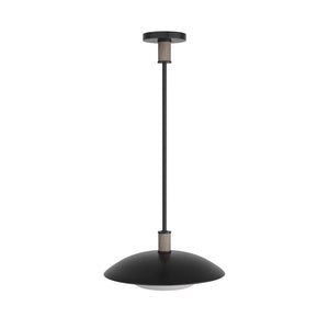 Arteriors - DSI03 - One Light Pendant - Tobias - Blackened Iron