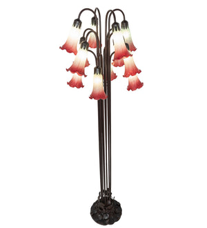 Meyda Tiffany - 185080 - 12 Light Floor Lamp - Seafoam/Cranberry - Mahogany Bronze