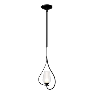 Hubbardton Forge - 183050-SKT-MULT-10-ZS0354 - One Light Mini Pendant - Flora - Black