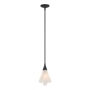 Hubbardton Forge - 184530-SKT-MULT-10-SH1987 - One Light Mini Pendant - Mobius - Black