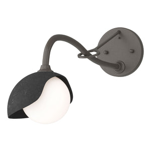 Hubbardton Forge - 201376-SKT-07-10-GG0711 - One Light Wall Sconce - Brooklyn - Dark Smoke