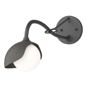 Hubbardton Forge - 201376-SKT-10-20-GG0711 - One Light Wall Sconce - Brooklyn - Black