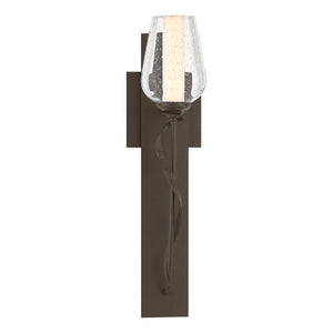 Hubbardton Forge - 203030-SKT-05-ZS0354 - One Light Wall Sconce - Flora - Bronze