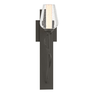 Hubbardton Forge - 203030-SKT-07-ZS0354 - One Light Wall Sconce - Flora - Dark Smoke